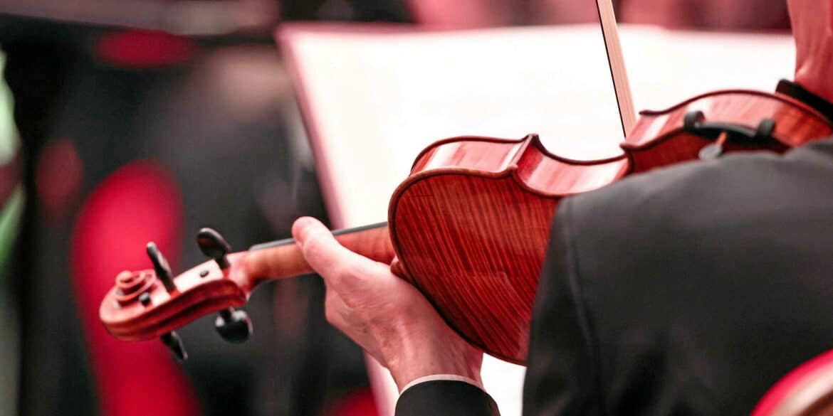 Defending Pernambuco: Europe's Commitment to Protect Bowmaking Timber