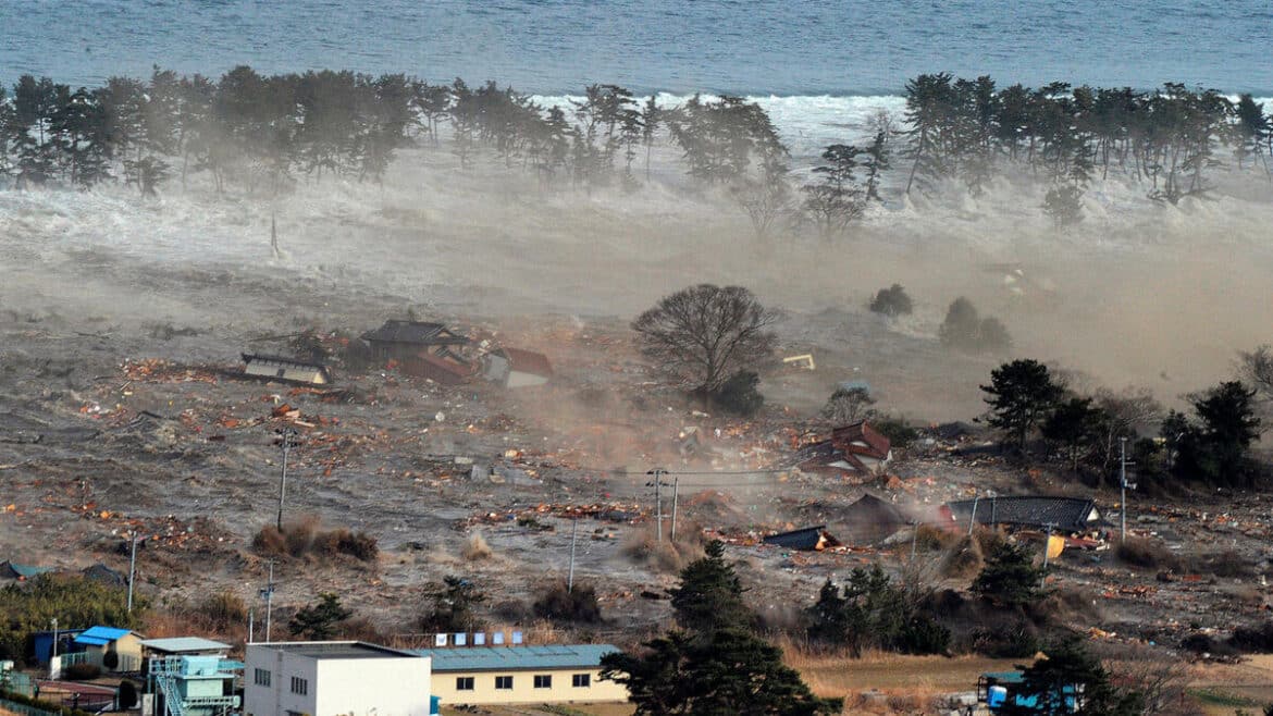 « Découverte tragique : les restes d'une enfant de 6 ans déterrés au Japon »