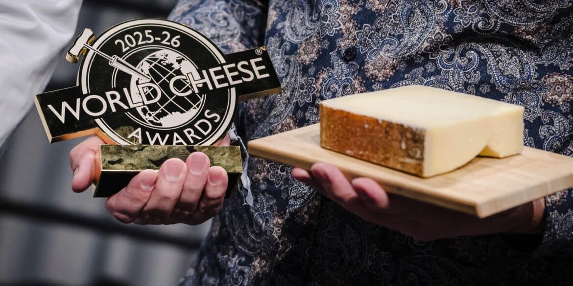 Le Gruyère Suisse : L'Incontournable Fromage au Goût Éternel !