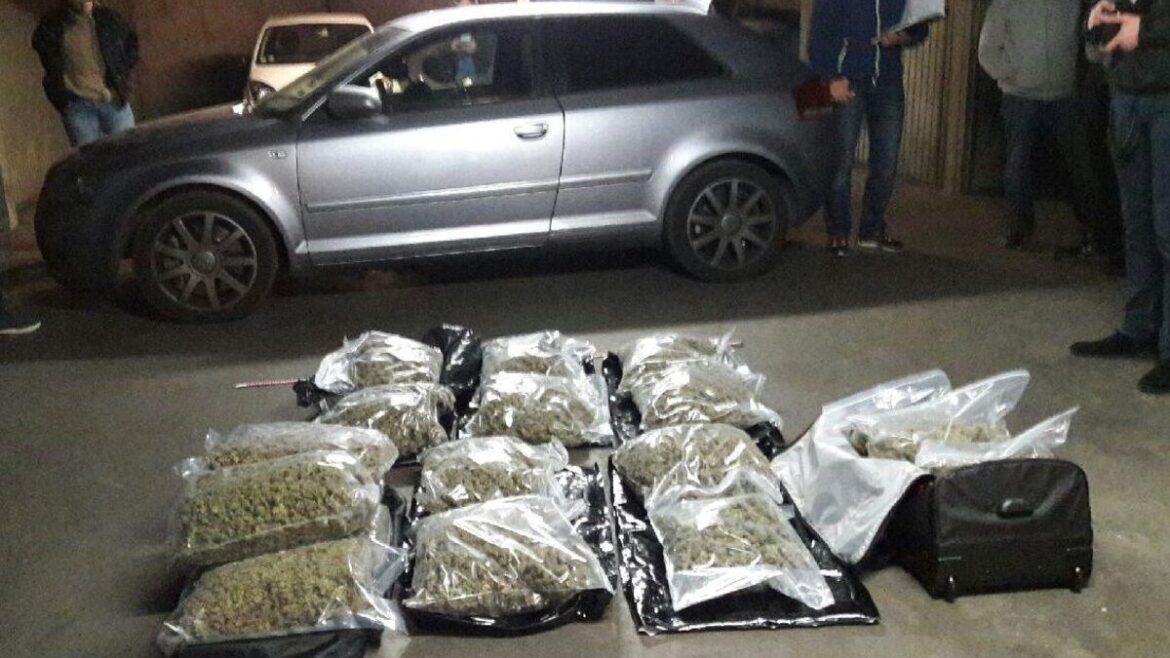 Réseau de Cannabis : Huit suspects, dont une avocate, sous enquête.