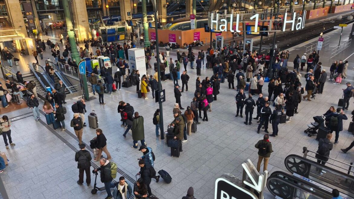 Paris : un homme intrépide conquiert le train à la gare du Nord