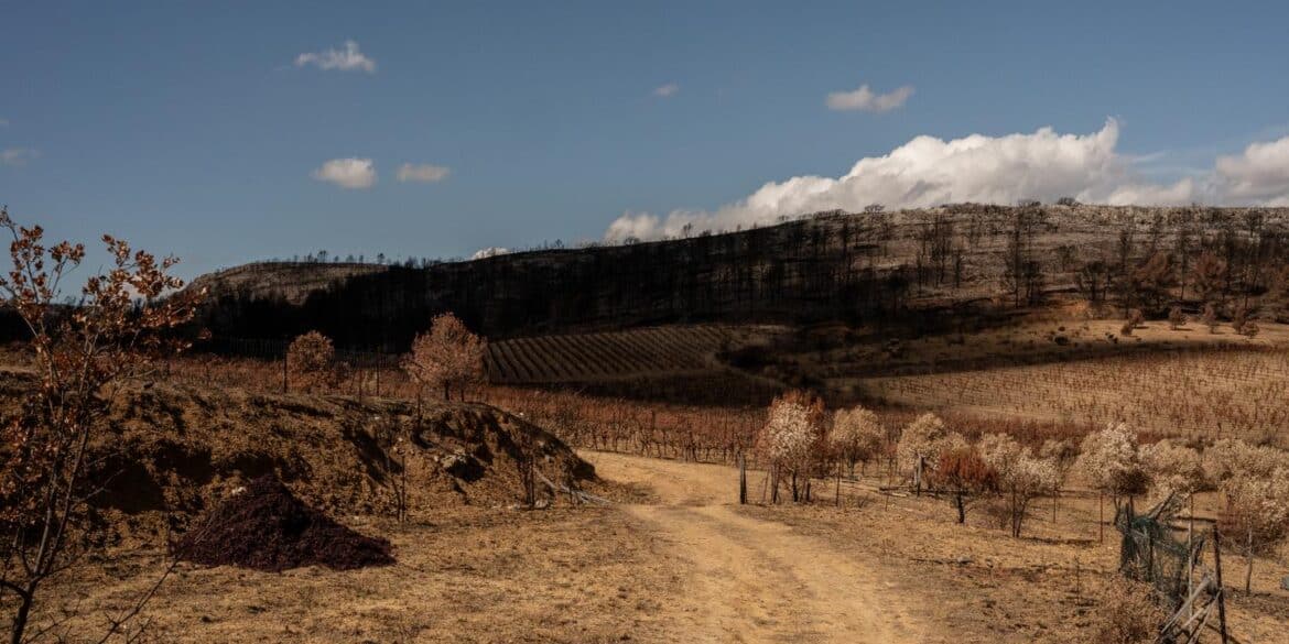 France's Climate Crisis: Overlooked Changes and Alarming Outcomes