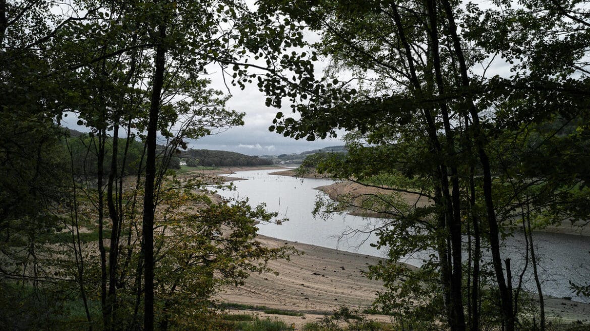 Jeune Néerlandais en détresse : une découverte inquiétante dans le Morvan