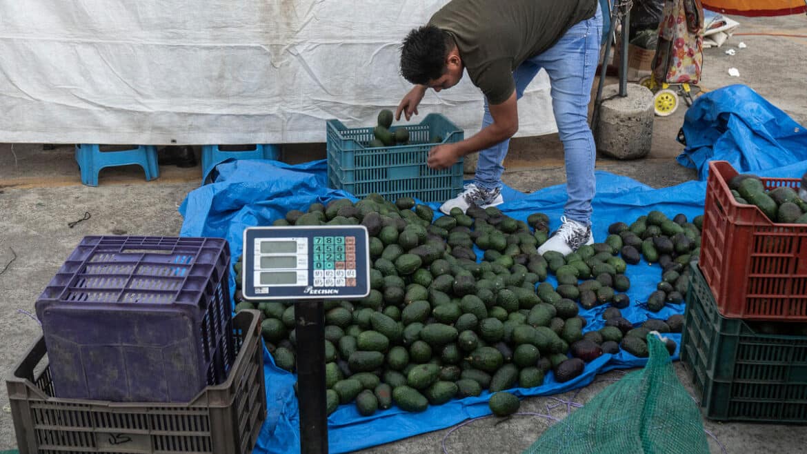 Quand la Criminalité Cible les Avocats : Les Cartels Mexicains à l'Offensive